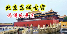 艹穴网站视频免费看中国北京-东城古宫旅游风景区