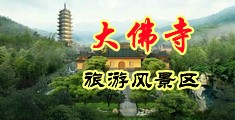 骚屄美女av在线中国浙江-新昌大佛寺旅游风景区
